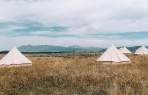 艾兰帕克Yellowstone Glamping的四座帐篷位于山地的田野中