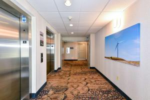 匹兹堡匹兹堡汉普顿套房酒店的办公室里走廊上画着风车