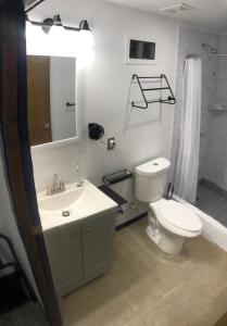 叶盘Island Hopper的一间带卫生间、水槽和镜子的浴室
