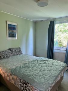 斯德哥尔摩Home Stays-Private Rooms in a Villa Near City for families/Individuals的一间卧室设有一张床和一个窗口