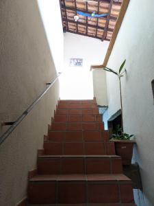 圣佩德罗-达阿尔德亚Região dos Lagos - casa para temporada的一条有盆栽植物的楼梯