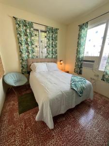马亚圭斯Spa Apartment的一间卧室设有一张大床和两个窗户。
