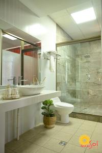 塔里哈Hotel del Sol的一间带水槽、卫生间和淋浴的浴室