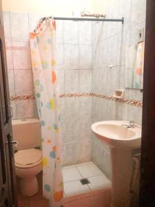VallegrandeHostal Juanita的浴室配有水槽、卫生间和浴帘