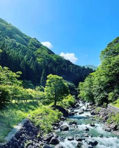 KamikishidaMONJUNO FUKUCHI的山谷中树木繁茂的河流