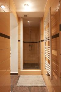 维也纳Spacious Apartment near Schoenbrunn Castle的带淋浴的浴室和玻璃门