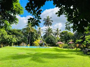 NattandiyaCrown Holiday Village near Marawila的一个带游泳池和棕榈树的公园