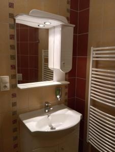 博加奇Patak-Party Apartmanok的浴室设有白色水槽和镜子