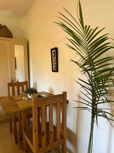 KokrobiteAfrican Treasure Beach Resort的一间设有木桌和植物的餐厅
