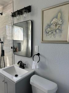 俄克拉何马城Charm & Location Studio Oasis In Prime Spot -31b的一间带水槽、卫生间和镜子的浴室