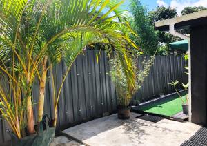 苏瓦Suva City Accommodation的后院内种有棕榈树的隐私围栏