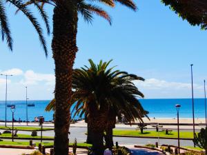罗萨里奥港Brisa Del Mar Fuerteventura的两棵棕榈树,在海滩上,背靠大海