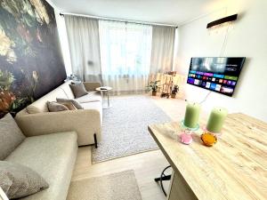 哥本哈根Luxurious Boutique Apartment, inner city, next to Canals and Metro station的带沙发和电视的客厅