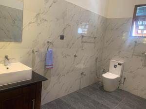 本托塔Norwegian House的白色的浴室设有水槽和卫生间。