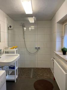 贝西格海姆Ferienwohnung im Besigheim的带淋浴和盥洗盆的浴室