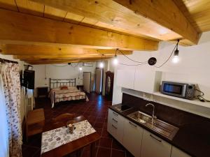 蒙塞利切Agriturismo San Bartolomeo的厨房和带床的客厅