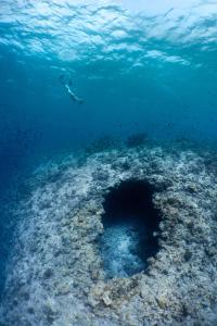 翡诺岛Amilla Maldives的在一个有海洋洞的珊瑚礁上游泳的人