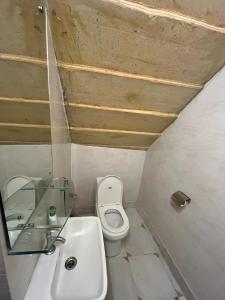 斋沙默尔Hostel Desert Home Stay的浴室配有白色卫生间和盥洗盆。