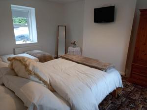 邓甘嫩Bramble Cottage的一间卧室设有两张床,墙上配有电视。