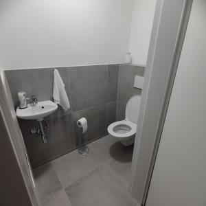 维也纳Aparthotel Umbrella的一间带卫生间和水槽的浴室