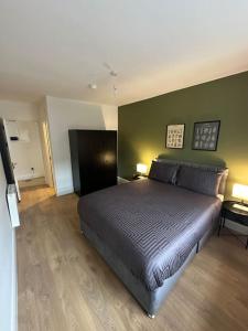 都柏林Central & Spacious Centre Apt的一间卧室设有一张床和绿色的墙壁