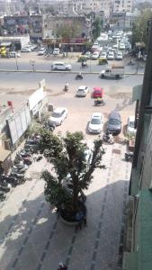 NarodaHotel Red Blue,Ahmedabad的停车场旁的树