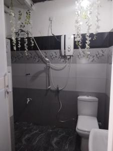 佩勒代尼耶Ella Way Resort的浴室配有卫生间,墙上挂有鲜花