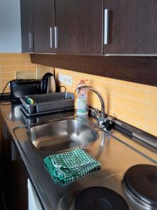 陶普利茨Grimming view Apartment的厨房水槽设有碗碟干燥架和海绵