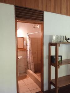 德雷克Cabañas Bajo Bosque Drake的带淋浴和浴帘的浴室
