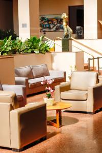戈亚尼亚卡斯特罗公园酒店的带沙发和桌子的客厅