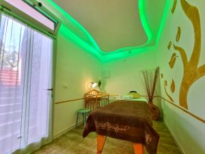 费托瓦亚Eco Hotel Montemerlo的一间卧室配有一张带绿灯的天花板床。