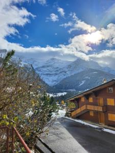 莱迪亚布勒雷Beautiful appartment in Les Diablerets的山景滑雪小屋