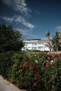 穆罗海滩普恩斯特尔拉道拉达 - 4*素普酒店的前方有红花的白色建筑