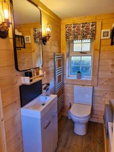 BillyCozies Cabin的一间带卫生间、水槽和镜子的浴室