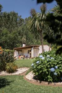 博伊罗Casa Costaneira的院子里有棕榈树的房子