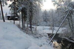 伊瓦洛伊瓦洛河露营酒店的一片积雪覆盖的森林,有河流和树木