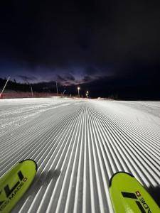 奥勒Bagargården7. bed & breakfast (Åre Bageri)的雪地滑雪