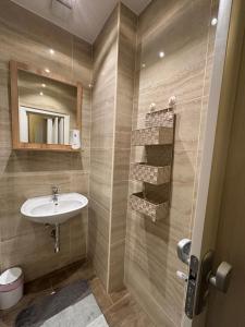 维也纳Golden’s Apart-Hotel的一间带水槽和镜子的浴室