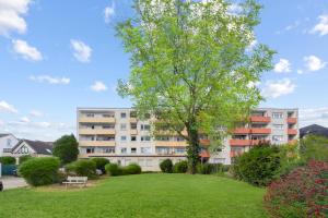 鲁尔河畔米尔海姆VINFUL: Premium-Apartment mit Balkon und Parkplatz的公园里一棵树的公寓楼