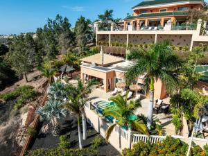 阿德耶Royal Garden Villas, Luxury Hotel的棕榈树房屋的空中景致