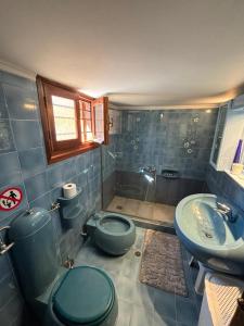 罗德镇The Knights Courtyard的浴室设有蓝色的卫生间和水槽。