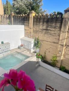 科尔多瓦Casa Muralla del Alcazar Viejo的后院设有游泳池和围栏