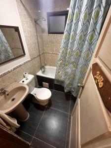 蒙特港Hostal y Cabañas Mirando al Mar的浴室配有卫生间、盥洗盆和淋浴。