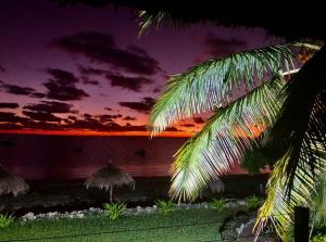 维兰库卢什Casa De Lua - Blue Paradise的棕榈树,背景是日落