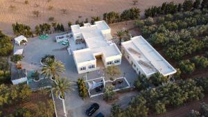 斯法克斯Gîte Feki的享有棕榈树白色房屋的空中景致