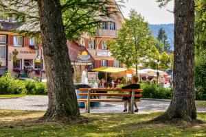 蒂蒂湖-新城Hotel Sonneneck Titisee -Adults Only-的相册照片