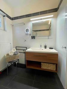 格拉茨Wohnen in Graz Mariatrost的一间带水槽和镜子的浴室