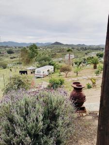 瓜达鲁佩镇Rancho Matalote en Valle de Guadalupe的享有带rv和鲜花的田野景色