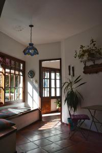 科洛尼亚-德尔萨克拉门托Posada Santa Rita的一间客厅,里面装有盆栽植物和门