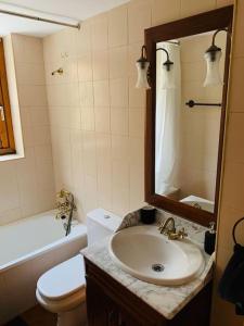 陶尔Apartamento con encanto (Taüll) DEER 1的一间带水槽、卫生间和镜子的浴室